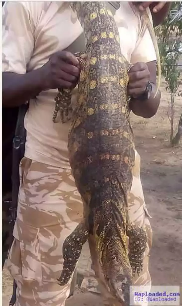 Omg: See the Big Monitor Lizard Killed by Nigeria Soldiers (Photos)